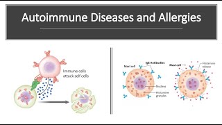 Autoimmune Diseases and Allergies [upl. by Ahtera]