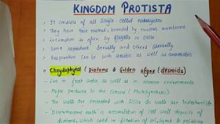 Class 11th  Kingdom protista  Biological Classification Part2  Chapter2 NOTES [upl. by Llednew890]