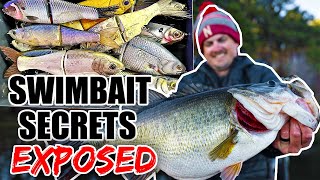 The Swimbait Fishing Secrets I NEVER should have shared [upl. by Syl137]