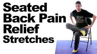 Seated Back Pain Relief Stretches [upl. by Anavoig]