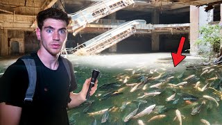 ABANDONED MALL FULL OF LIVE FISH INSIDE Thailand [upl. by Ainnek]