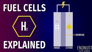 Hydrogen Fuel Cell How It Works [upl. by Katti44]