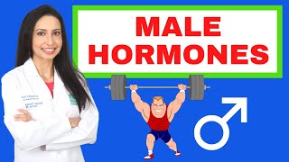 Male Hormones Hows your testosterone and estrogen [upl. by Coffee]