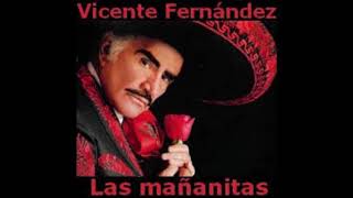 VICENTE FERNANDEZ LAS MAÑANITAS [upl. by Rawna357]