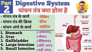 Digestive System In Hindi  पाचन तंत्र  Stomach  Liver  Small Intestine  Large Intestine  HCL [upl. by Janel]