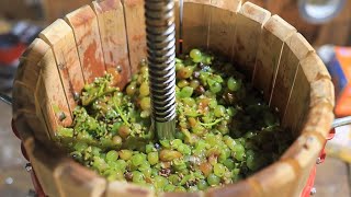 Making a White Wine from Grapes [upl. by Philly232]