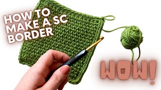 How To Single Crochet a Blanket Border  PERFECT FOR BEGINNERS [upl. by Thesda68]