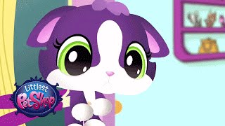 Littlest Pet Shop  Meow Manor [upl. by Anitsrik]