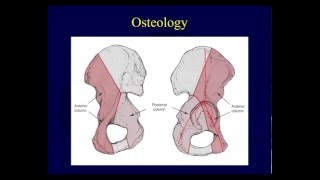 hip pain causes diagnosis and treatment [upl. by Znarf]