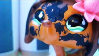 Littlest Pet Shop Popular Episode 5 Calories and Competition [upl. by Nwahsaj]