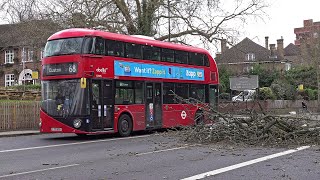 Storm Eunice chaos in London [upl. by Tarsuss618]