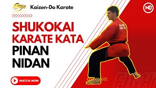 Shukokai Karate Kata  Pinan Nidan [upl. by Sykleb]