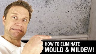 How to Paint over Mould amp Mildew [upl. by Solokin]