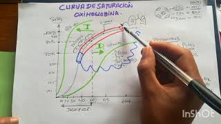 FISIOLOGÍA RESPIRATORIA  CURVA DE LA OXIHEMOGLOBINA [upl. by Gnik]