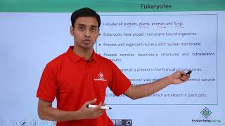 Class 11th  Eukaryotes – Introduction  Cell The unit of Life  Tutorials Point [upl. by Alejandro]