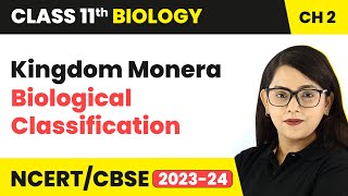 Kingdom Monera  Biological Classification  Class 11 Biology Chapter 2  NCERTCBSE [upl. by Oine501]