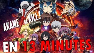 Akame ga Kill EN 13 MINUTES  RE TAKE [upl. by Busiek]