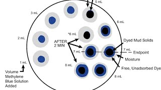 11 Methelene Blue Test MBT [upl. by Janenna469]