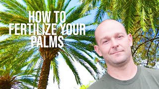 How To Fertilize Your Palms  ONeils Tree Service [upl. by Einaffit]