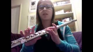 How to Play the Flute for Beginners [upl. by Hsetih]