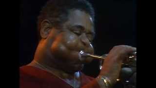 Dizzy Gillespie  A Night In Tunisia Live 81 [upl. by Amena554]