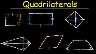 Quadrilaterals  Geometry [upl. by Archibold764]