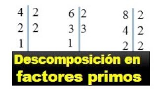 Descomposicion de factores primos para niños [upl. by Nibaj]