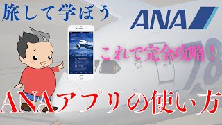 ANAアプリの使い方を完全攻略！【旅して学ぼう】 ANAダイヤモンド会員が教える [upl. by Akcire127]