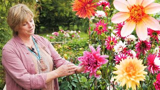 Sarah Raven  How to grow dahlias  Good Housekeeping UK [upl. by Mori]