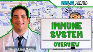 Immunology  Immune System Overview [upl. by Suilienroc]