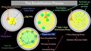 The Emulsification Process [upl. by Piks]