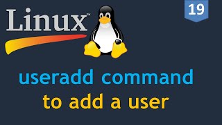 19  Linux for DevOps  Creating a User  useradd command  How to add a user on Linux [upl. by Ees]