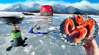 CATCH and COOK while Ice Fishing Delicious Mountain Trout [upl. by Hoseia346]