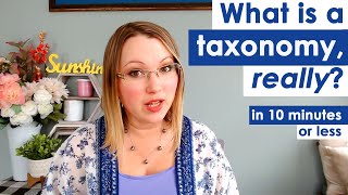 What is a taxonomy really In 10 minutes or less [upl. by Boonie]