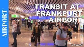 TRANSIT WALK AT FRANKFURT Airport FRA Terminal 1  Connection Flight Transfer Arriving amp Departing [upl. by Sikleb378]