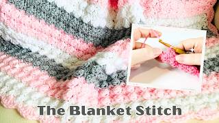 How to Crochet the Blanket Stitch EASY Crochet Tutorial [upl. by Matheson794]